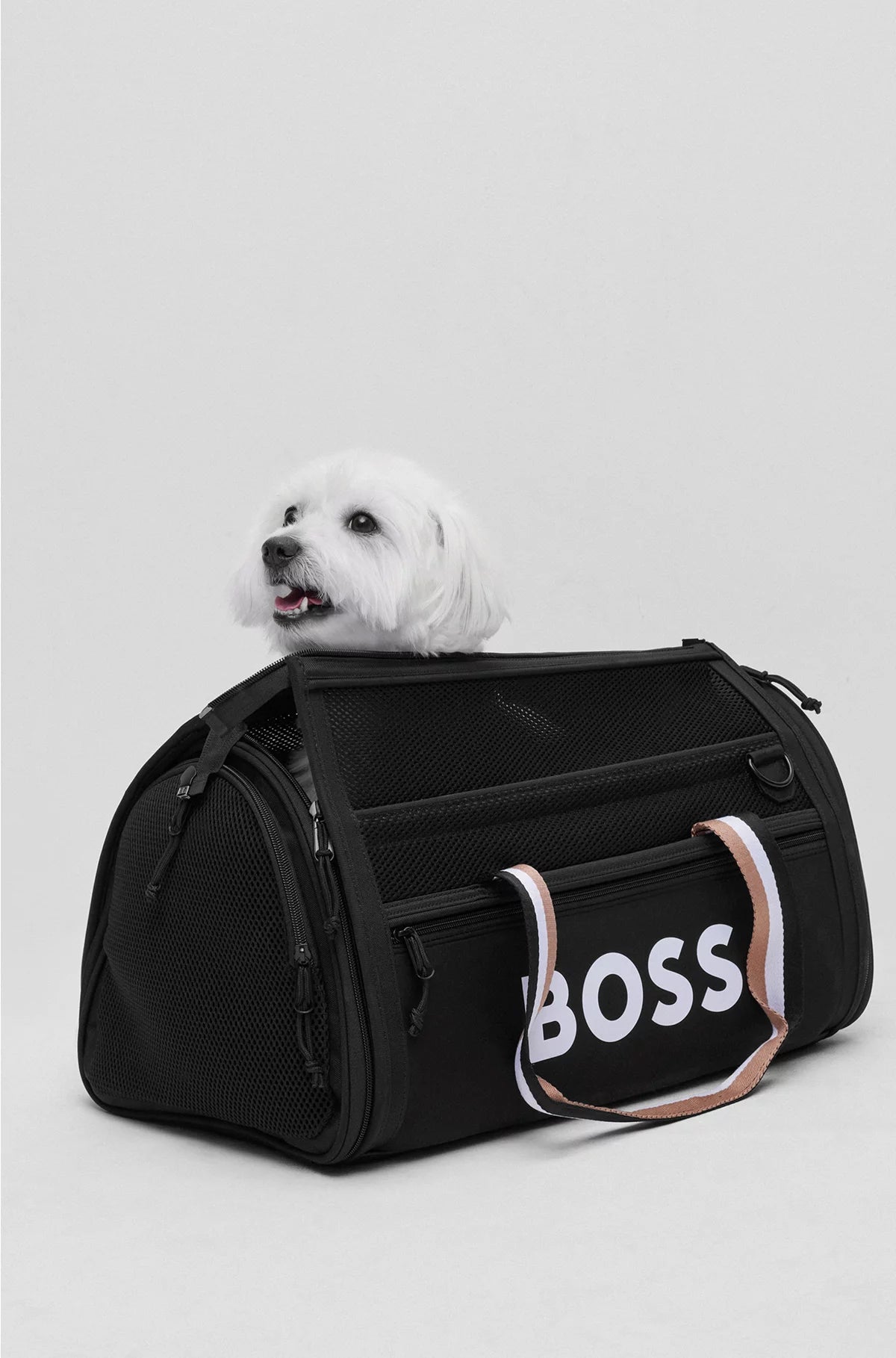 DOG TRAVEL BAG WITH QUILTED MAT