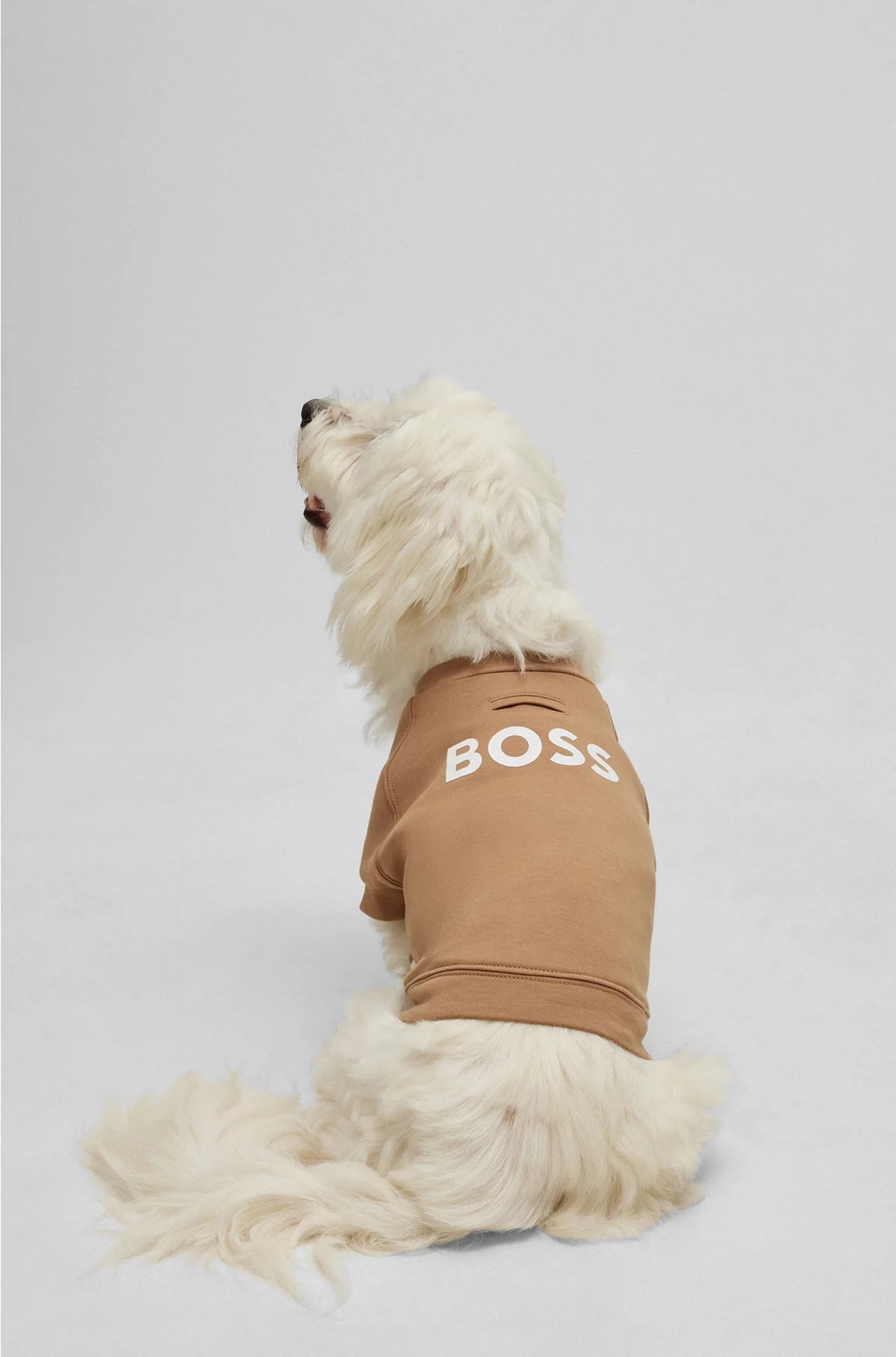 DOG SWEATER IN A COTTON BLEND