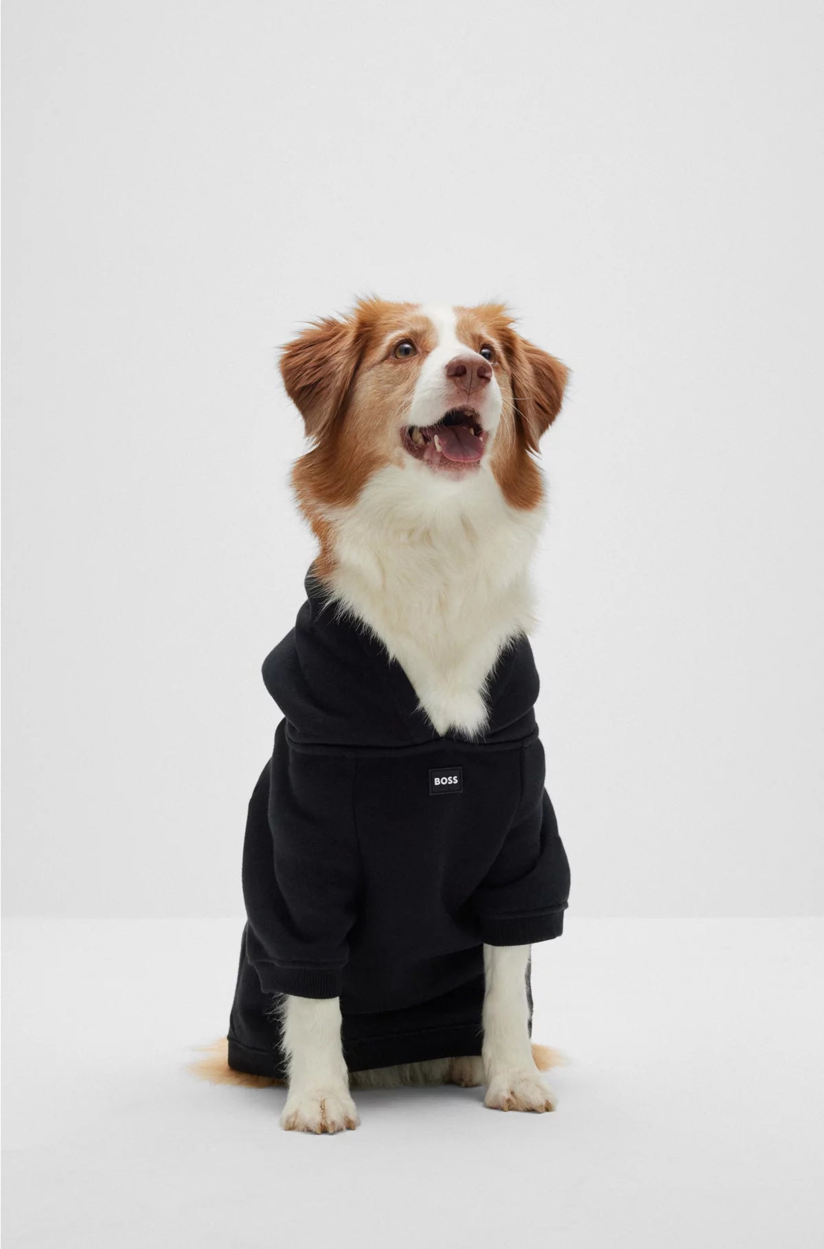 DOG HOODIE IN A COTTON BLEND WITH CONTRAST LOGO